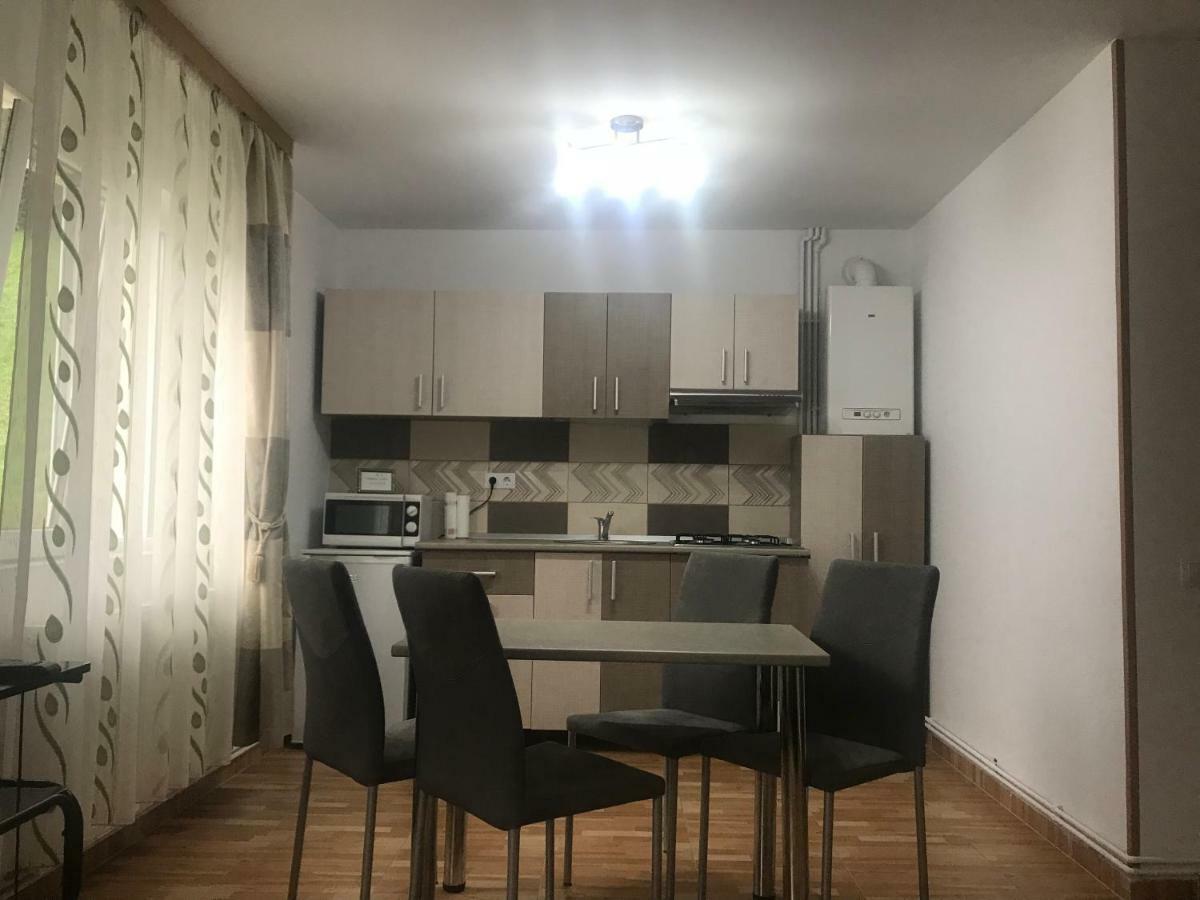 Garsoniera Family Apartamento Buşteni Exterior foto