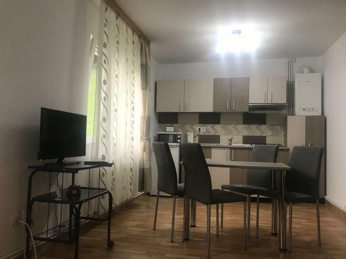 Garsoniera Family Apartamento Buşteni Exterior foto
